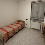 Rent 2 bedroom apartment of 70 m² in Borgomanero