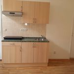 Rent 1 bedroom apartment of 45 m² in Liberec