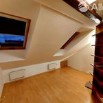 Rent 5 bedroom apartment of 167 m² in Brno