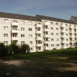 Rent 3 bedroom apartment of 6044 m² in Chemnitz