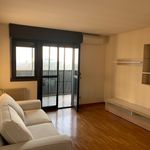 Rent 1 bedroom apartment of 50 m² in Udine