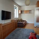 Rent 1 bedroom apartment of 33 m² in Toruń