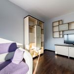 Rent 3 bedroom apartment of 57 m² in Łódź