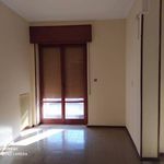 Rent 5 bedroom apartment of 160 m² in Nola