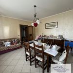 Rent a room of 100 m² in Vigonza