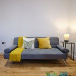 Rent 1 bedroom apartment of 861 m² in Birmingham
