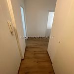 Rent 1 bedroom apartment of 50 m² in České Budějovice