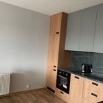 Rent 2 bedroom apartment of 49 m² in Poznan