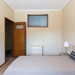 Alugar 4 quarto apartamento em Porto