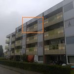 Rent 1 bedroom apartment of 46 m² in Vlijmen