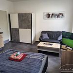 Rent 1 bedroom apartment of 26 m² in Braunschweig