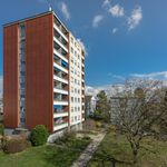 Rent 4 bedroom apartment of 72 m² in Allschwil