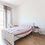 Rent a room of 100 m² in Albano Laziale