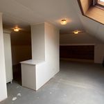 Rent 3 bedroom house in Scherpenheuvel-Zichem