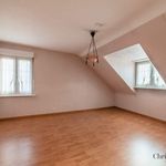 Rent 1 bedroom apartment of 46 m² in Rixheim