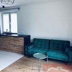 Rent 3 bedroom apartment of 101 m² in Bełchatów