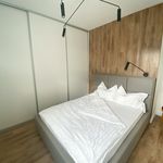 Rent 2 bedroom apartment of 46 m² in Lodz