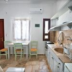 Rent 1 bedroom apartment of 27 m² in Ferma