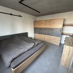 Rent 1 bedroom apartment of 70 m² in Frýdek-Místek