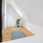 Rent 2 bedroom apartment of 27 m² in Bydgoszcz