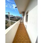 Rent 4 bedroom apartment of 110 m² in Alcamo