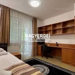 Rent 1 bedroom apartment of 26 m² in Debrecen