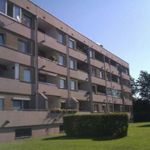 Rent 3 bedroom apartment of 78 m² in Luftenberg an der Donau