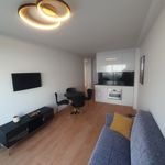 Rent 2 bedroom apartment of 72 m² in Porto