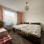 Rent 1 bedroom apartment of 100 m² in Teplice