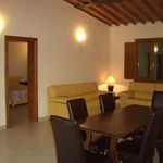 Rent 3 bedroom apartment of 75 m² in Siena