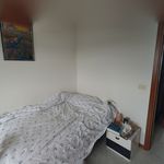 Affitto 2 camera appartamento di 100 m² in Bologna