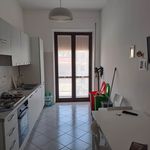 Affitto 3 camera appartamento di 100 m² in Salerno
