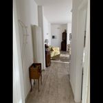 Rent 1 bedroom apartment in Forte dei Marmi