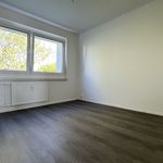 Rent 2 bedroom apartment of 55 m² in Chemnitz