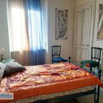 Rent 2 bedroom apartment of 55 m² in Biella