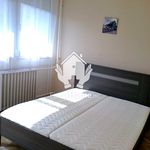 Rent 2 bedroom apartment of 54 m² in Debrecen