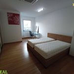 Rent 1 bedroom apartment of 200 m² in Jáchymov