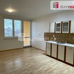 Rent 1 bedroom apartment of 54 m² in Mikulov