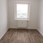 Rent 1 bedroom apartment of 60 m² in Thum