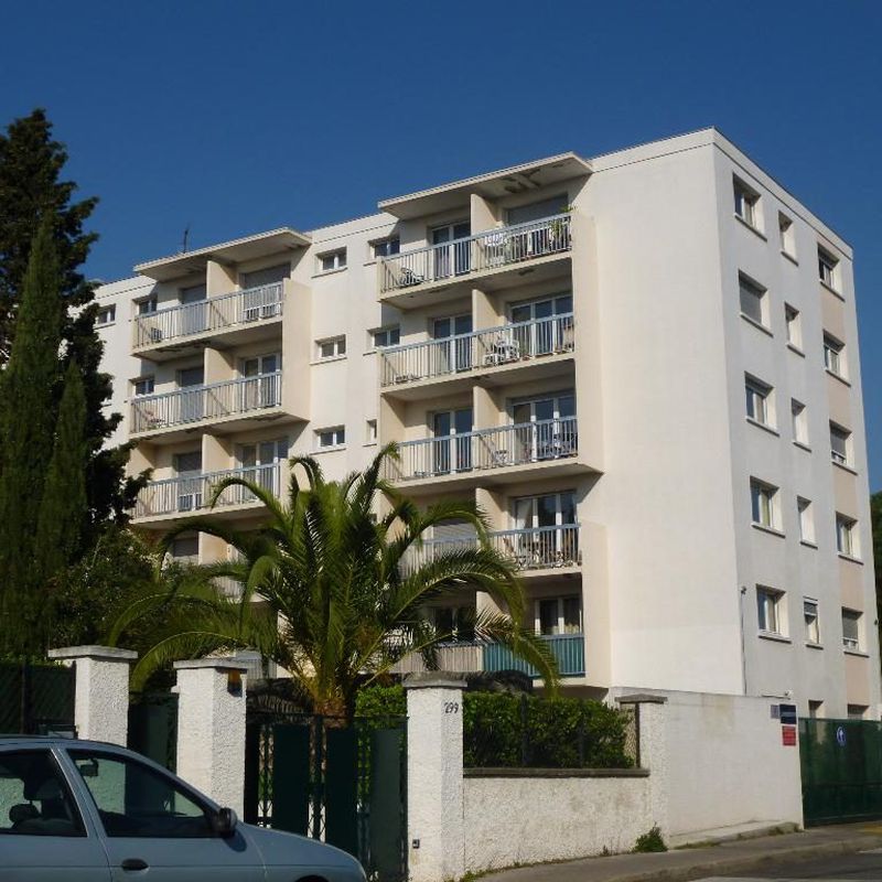 Hopitaux Facultés-Studio-19m² - FDI Services Immobiliers Montferrier-sur-Lez