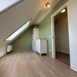 Rent 2 bedroom apartment in Beerse