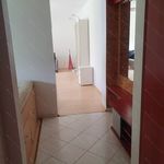 Rent 1 bedroom apartment of 36 m² in Budapest