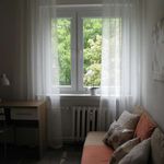 Rent a room of 48 m² in wroclaw