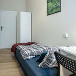 Rent a room in Wrocław