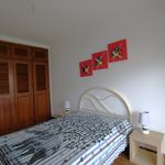 Rent 1 bedroom apartment of 49 m² in Costa da Caparica
