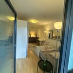 Rent 1 bedroom apartment of 62 m² in München