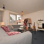 Rent 3 bedroom apartment of 65 m² in Groningen