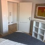 Rent 3 bedroom apartment of 82 m² in Budapest