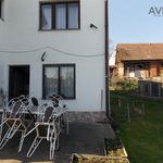 Rent 2 bedroom apartment of 40 m² in Rabyně