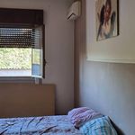 Rent 5 bedroom apartment of 220 m² in Nettuno